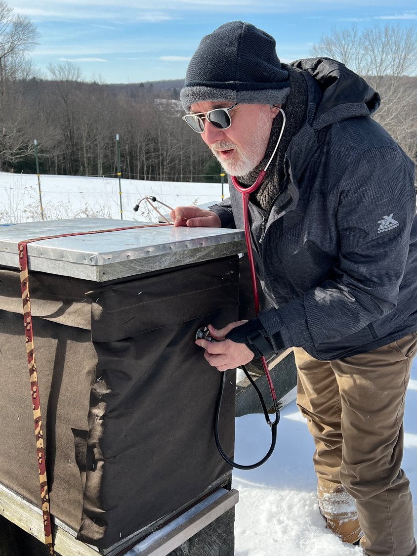 Monitoring the hives in winter.